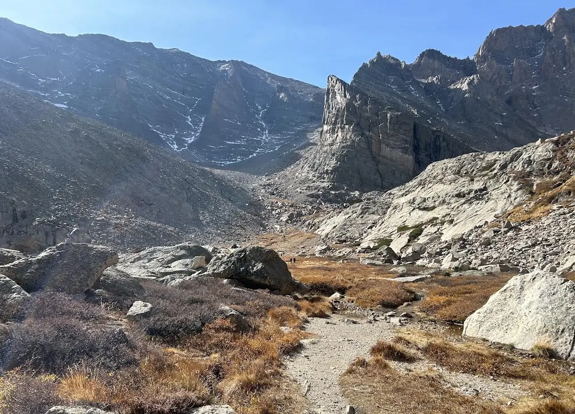 View of boulder filed near the treeline